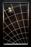 Spinnen Gitter aus Edelstahl - optional mit Bronzegußspinne