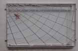 Spinnen Gitter aus verzinktem Stahl und einer Bronzespinne