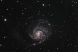 Messier 101, die Feuerrad Galaxie
