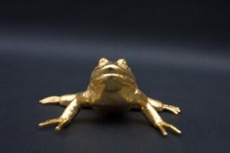 Gold Frosch