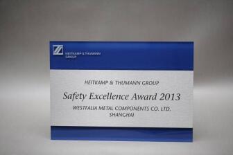Safety Excellence Award 2013