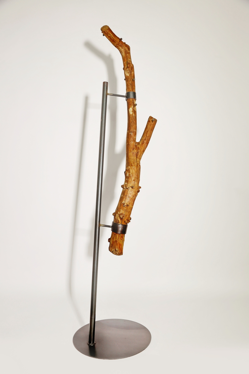 Naturfarbene Baumstamm Garderobe - Baumstamm Garderobe