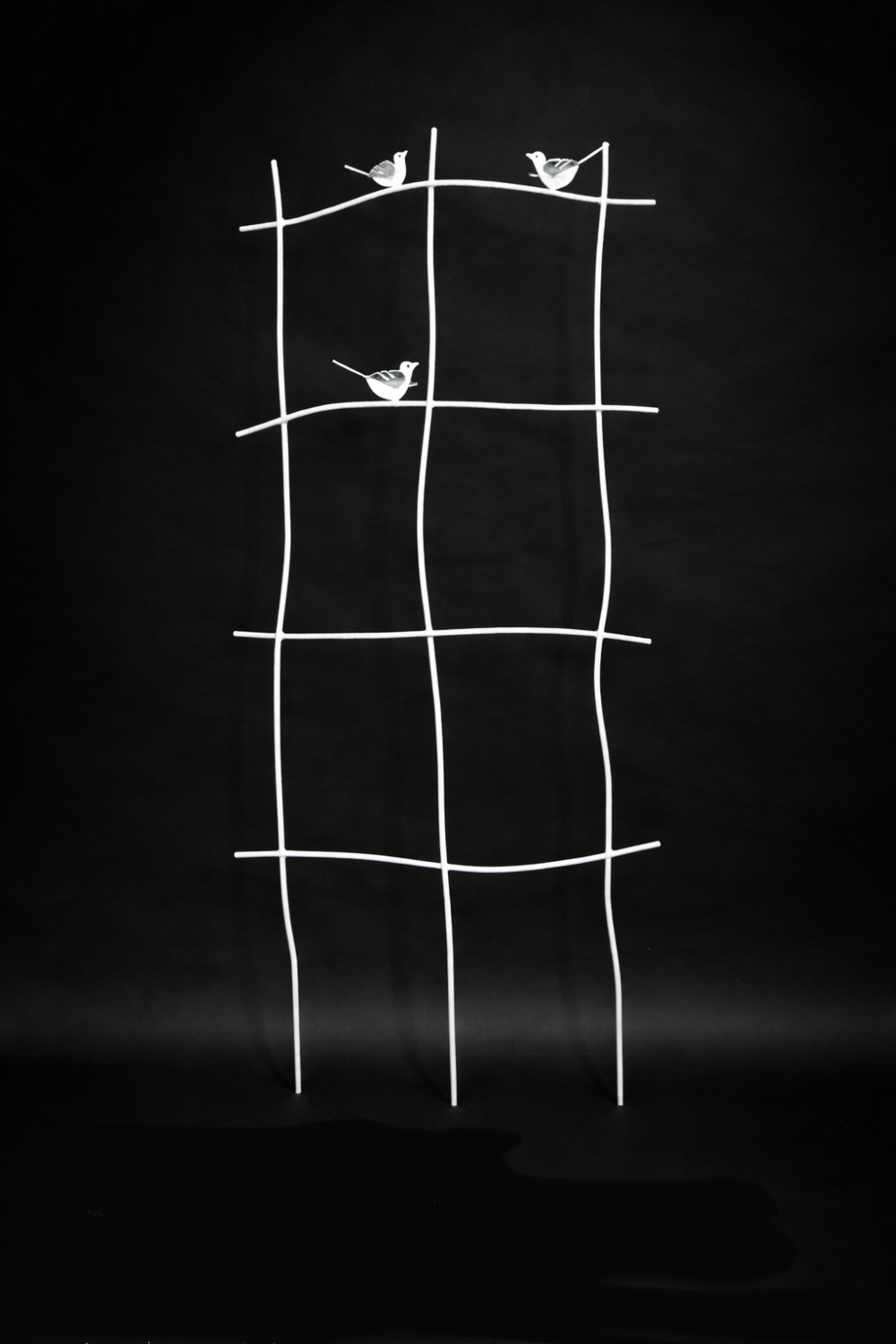 Rangitter Floravento