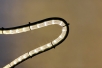 Doppeltannenbaum mit warmweißem LED Lichtschlauch - Tannenbaum Detail
