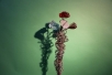 Blume aus Draht und Glas