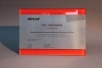 Develop Award aus farbig hinterlegtem Plexiglas und Edelstahl