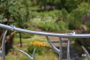 aufwändig geschmiedete Gartenpforte - handgeschmiedetes Tor