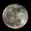 Der Mond am 8.2.2012 einen Tag nach Vollmond
