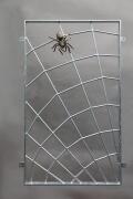 Spinnennetzgitter mit einer Bronze Spinne