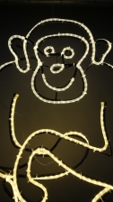 Leuchtender Affe