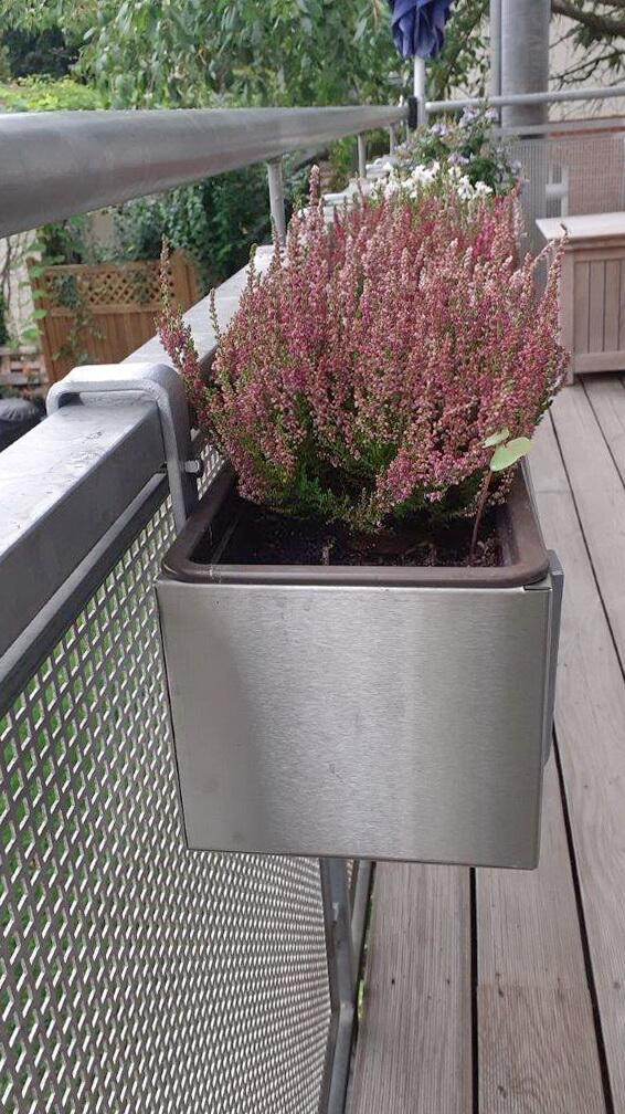 Blumenkastenhalterung aus feuerverzinktem Stahl