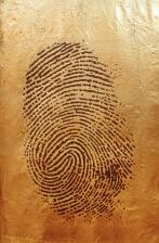 Fingerprint vergoldet