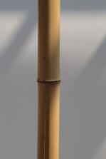 Bambus Türgriffe