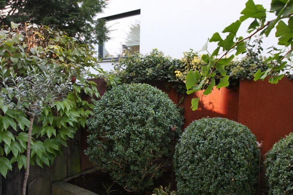 Sichtschutz Wand aus 3mm aus Rost Stahl