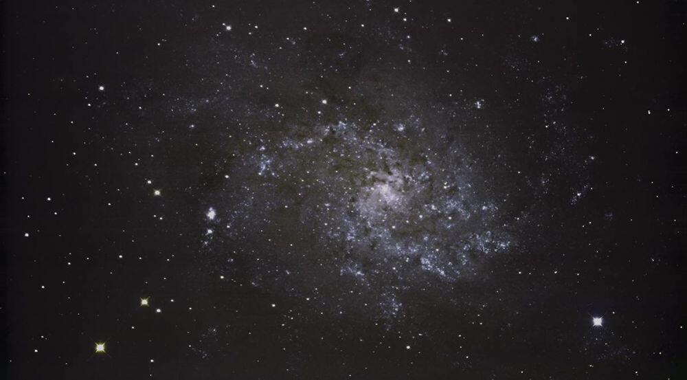 M33