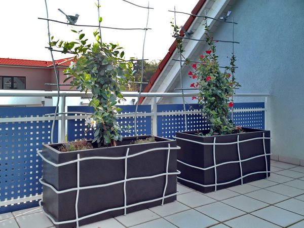 weihnachtsbaum künstlich im topf Kleiner Weihnachtsbaum im Topf kaufen