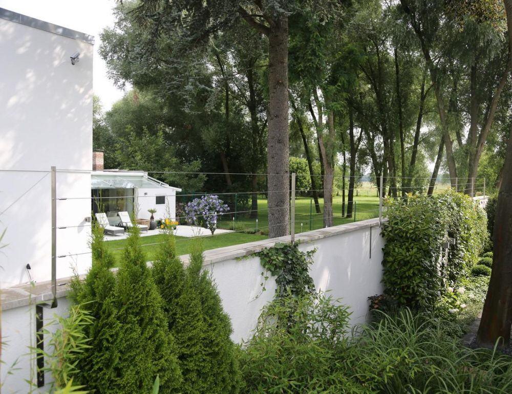 Rankhilfe aus Edelstahl Flachmaterial und Edelstahl Seil