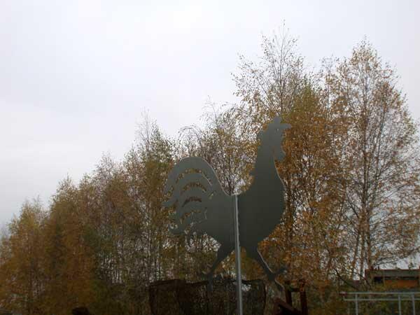 Wetterhahn