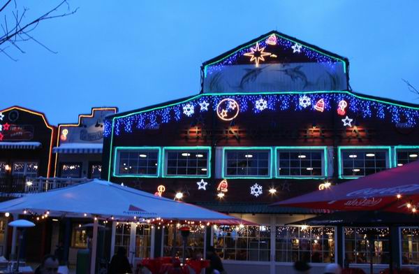 Yukon Bay im Winter-Zoo Hannover bei Tageslicht