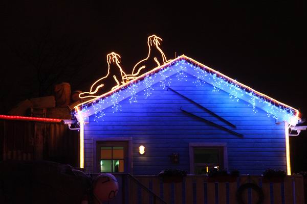 Winter-Zoo in Yukon Bay in Hannover
