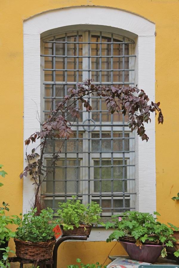 Geschmiedetes Fenstergitter, massiv und sicher