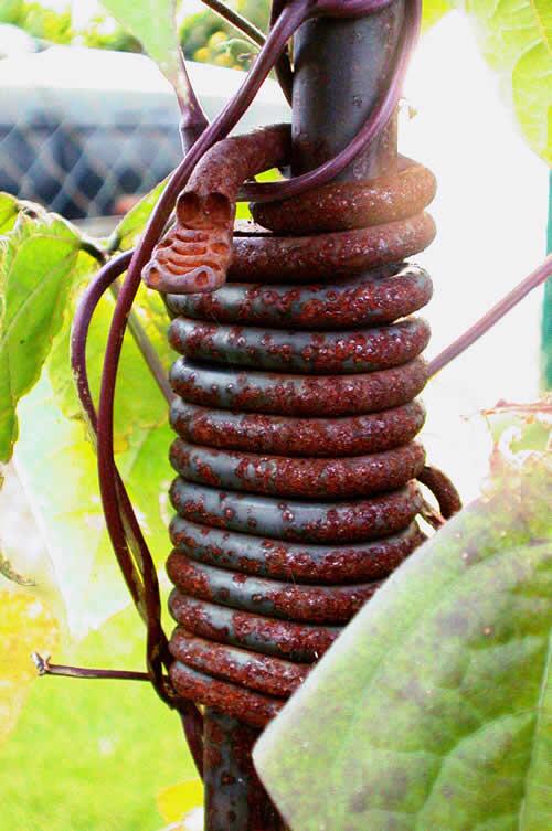 geschmiedete Rankhilfe