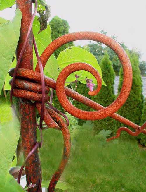 Rankgitter - Rundeisen geschmiedet
