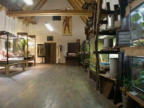 Mullewapp-Lehrerzimmer