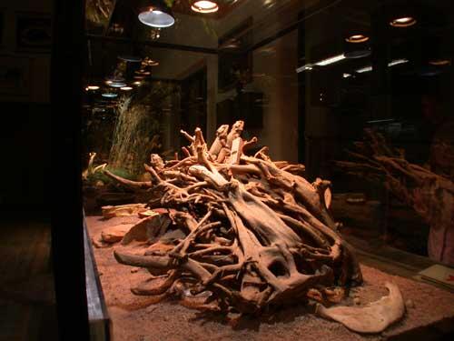 Mullewapp-Lehrerzimmer