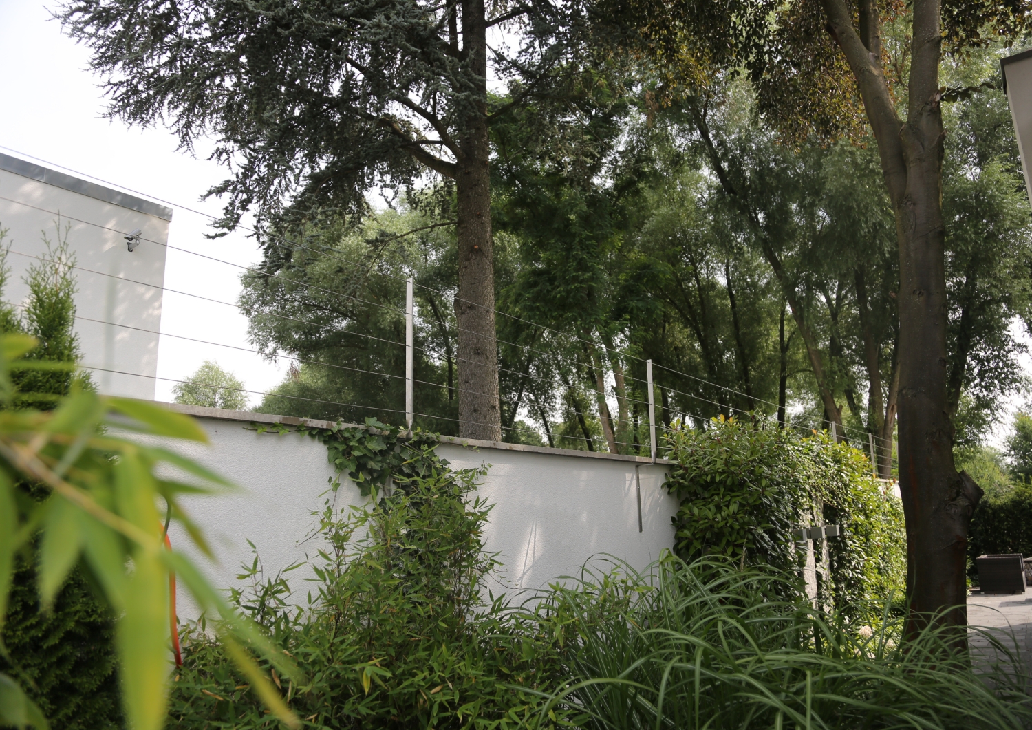 Rankzaun aus Edelstahl Seil