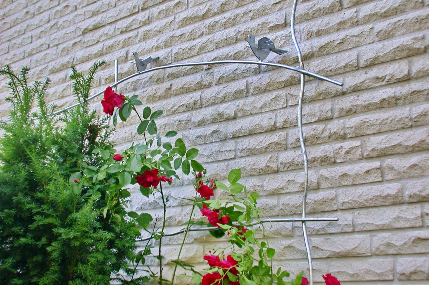 Rankgitter, gelaserte Vögel