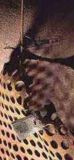 Brosche - Feinsilber und Eisen