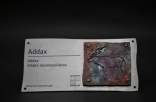 Addax Schild für den Zoo Hannover
