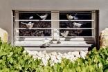 Fenstergitter aus Stahl (feuerverzinkt) mit gelaserten Vögeln