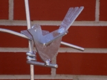 Rankgitter aus Stahl mit gelaserten Vögeln (feuerverzinkt)