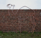 Leuchtendes Kamel für den Winter Zoo Hannover