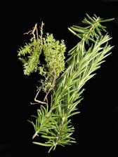 Lammkarree mit Ingwerjus, jungem Gemüse und Kartoffelstampf