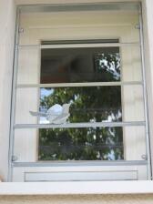 Selbstredend können Sie für Ihre Fenstergitter auch weniger oder mehr Vögel bekommen