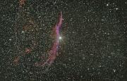 NGC 6960, Sturmvogel im Cirrusnebel