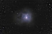 NGC 7023 der Irisnebel am 21.10.20