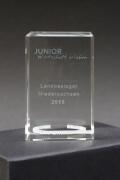 Junior Award - Landessieger 2015