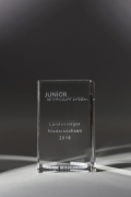 Junior Award Landessieger Niedersachsen 2016