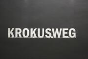 Krokusweg - Straßenname aus walzblankem Edelstahl in 3 mm Stärke