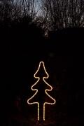 Leuchtannenbaum mit einem Lichtschlauch