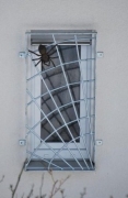 Spinnennetz Fenstergitter mit einer Spinne aus Bronze