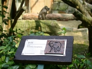 Zoo Hannover - Tiergehegebeschilderung