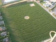 Kunst im Maisfeld - Maislabyrinth in Pattensen