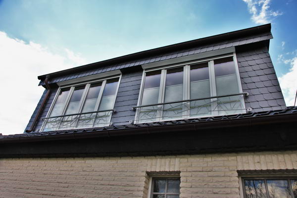 Französicher Balkon / Geländer / Absturzsicherung mit Schmitzstruktur