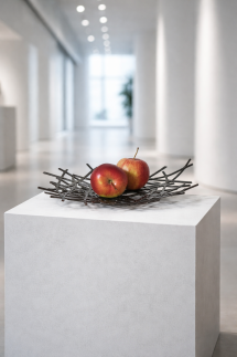 Schale punktgeschweißt, 5 mm Stahl