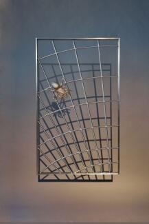 Und schon wieder eines unserer schönen Spinnengitter